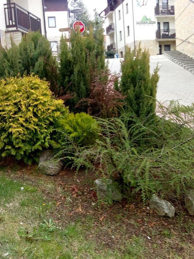 Apartment Marjana Zlatibor Ngoại thất bức ảnh